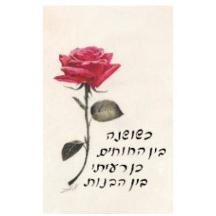 אסתר אברמוביץ